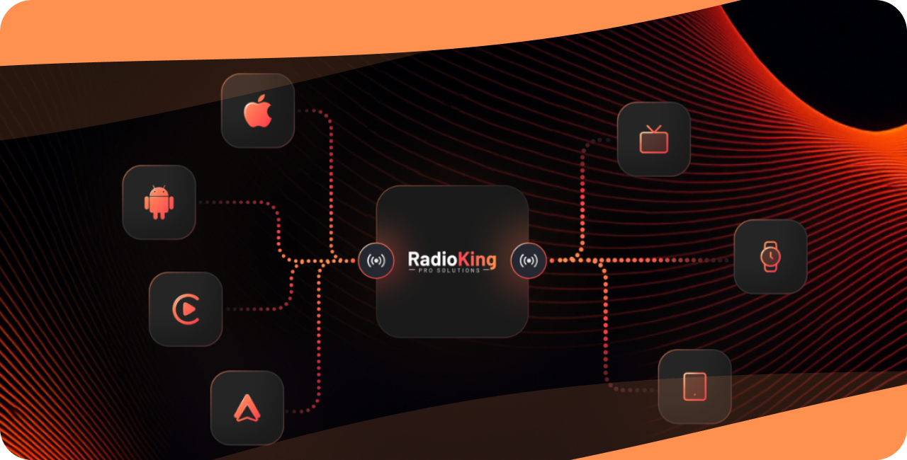 RadioKing Pro Solutions connexion des usages